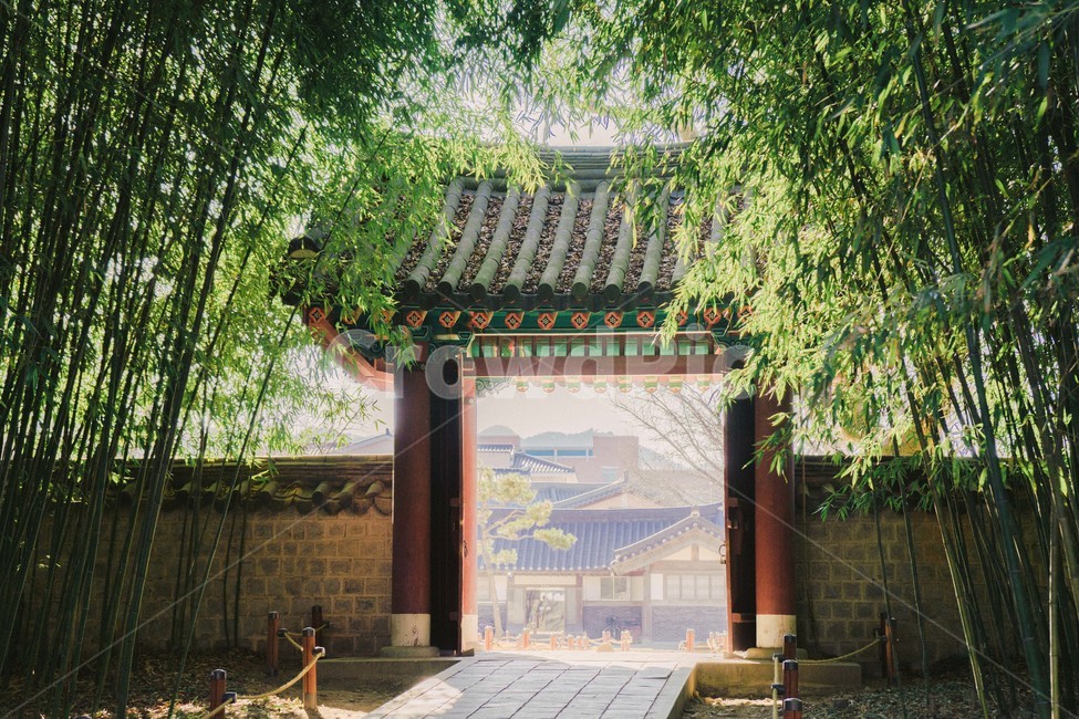 전통,대나무,한옥마을,전주,traditional,bamboo,대나무숲,숲,자연,풍경,nature,landscape,한국자연풍경,한국자연경관,korea nature landscape,한국전통,한국문화,korean traditional,korean culture,건축물,건물외관,exterior,building,structure,architecture,construction,outdoors,옥외,garden,정원,arbour,정자,gate,문,patio,안마당