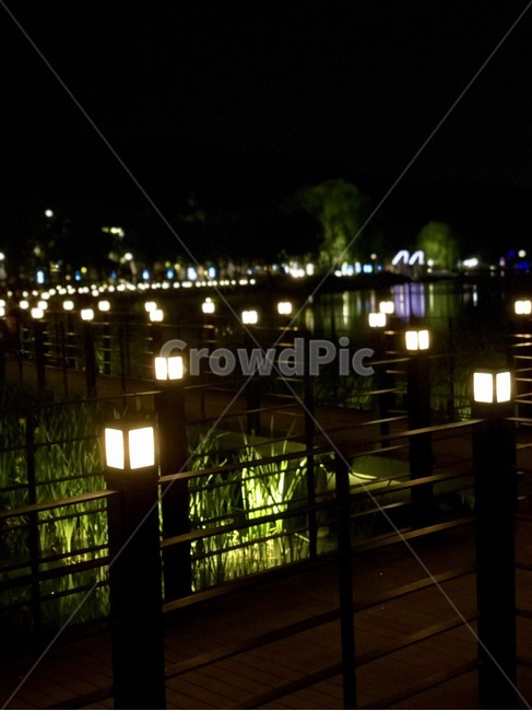 대구,전등,불빛,수성못,호수,자연,풍경,nature,landscape,야경,밤,nightscape,night,flare,플레어,light,빛