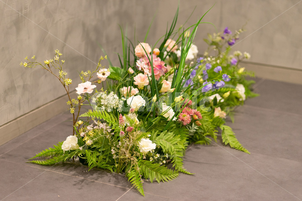 식물,plant,바닥식물,조화,조화꽃,꽃,flower