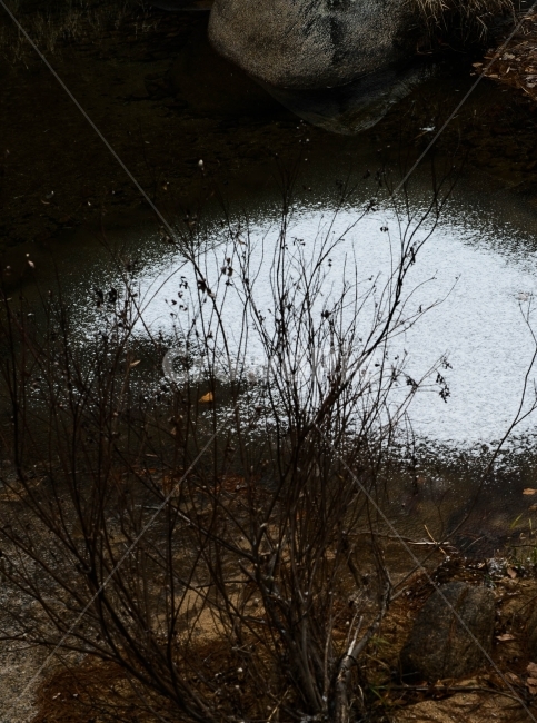 풍경,자연,괴산,선유구곡,계곡,자연,풍경,nature,landscape,puddle,흐리게 하다,outdoors,옥외,water,물,land,땅