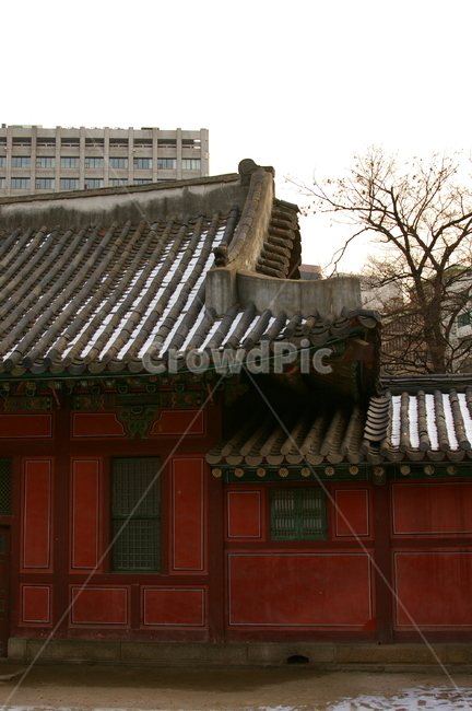한옥,건축물,전통,한국적인,기와지붕,지붕,한국전통,한국,랜드마크,한국전통,한국문화,korean traditional,korean culture,건축물,건물외관,exterior,building,structure,architecture,construction
