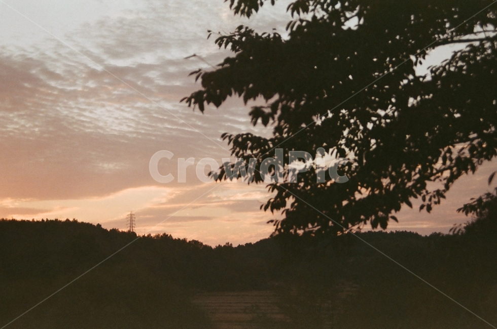필름사진,감성,노을,하늘,자연,자연,풍경,nature,landscape,outdoors,옥외