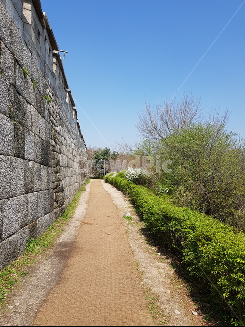 성곽,성벽,오솔길,둘레길,산책,소풍,봄,등산,산행,문화유산,서울길,화창한,따뜻한,날씨,파란하늘,피크닉