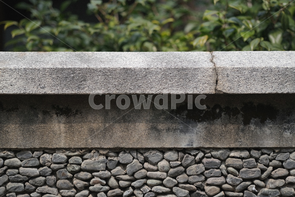벽,담벼락,돌,wall,plant,식물,초록,건축물,건물외관,exterior,building,structure,architecture,construction