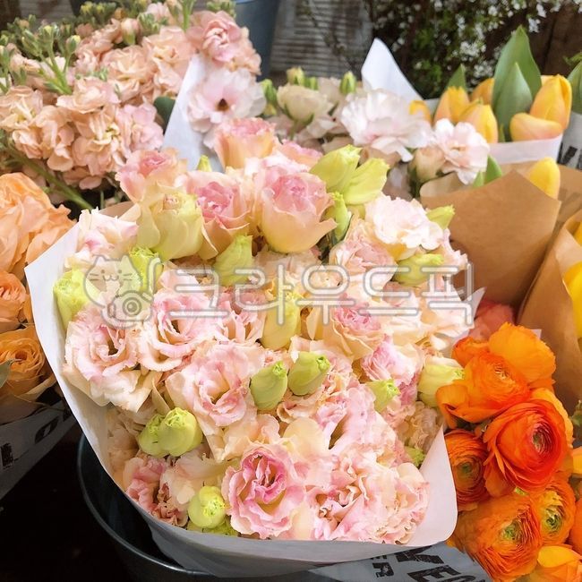 plant,bouquet,flower arrangement,flower