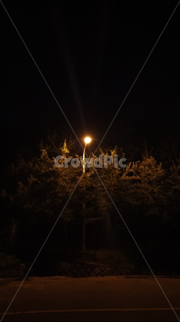 가로등,밤,빛,조명,새벽