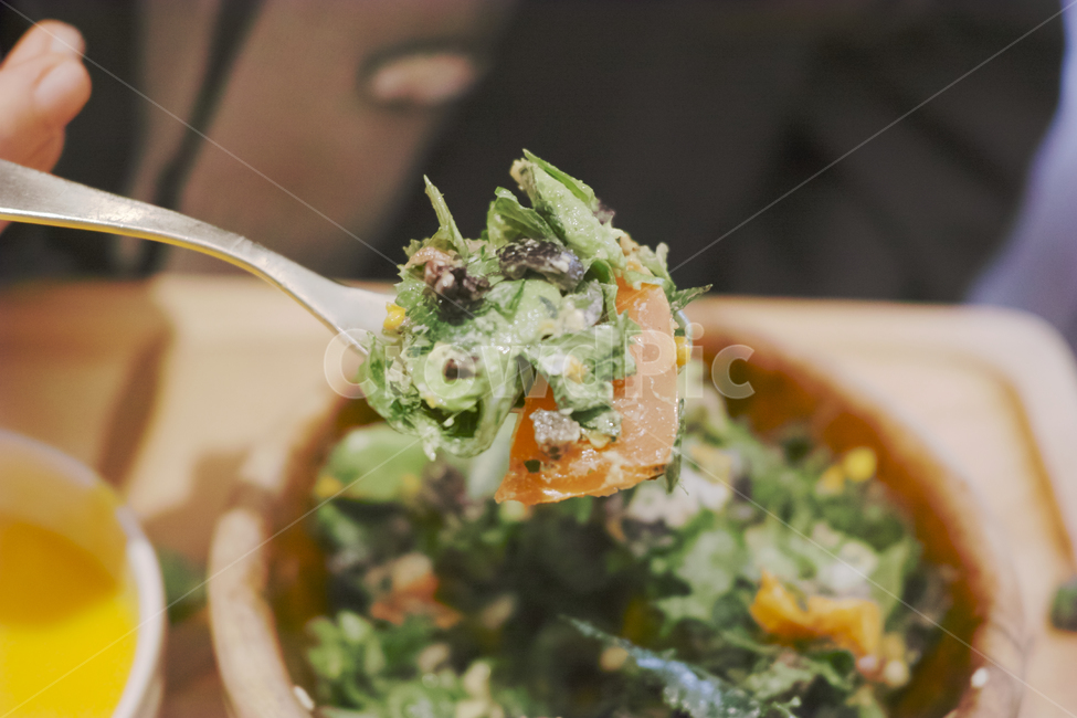 야채샐러드,샐러드,다이어트,건강식,건강식단,연어샐러드,건강,헬스웨어,헬스케어,healthware,health care,채소,야채,vegetables