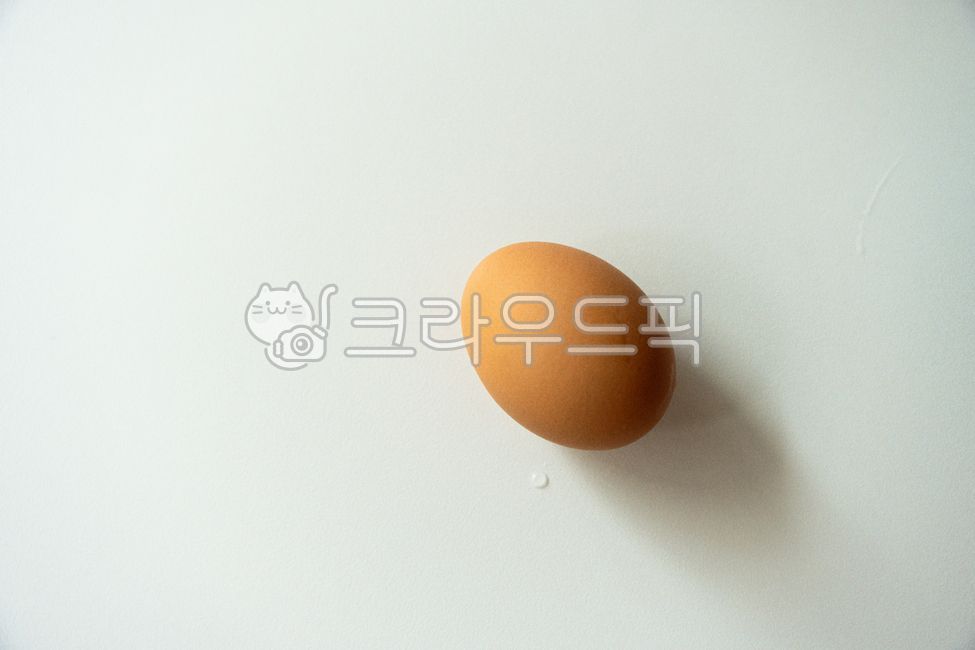eggshell, organic, easter, protein, raw, 사진,이미지,일러스트,캘리그라피 - iamtaeoh작가