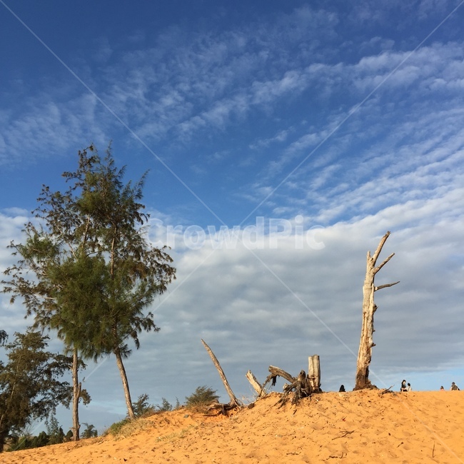 초원,황량함,배경화면,흰구름,쓸쓸한,자연,풍경,nature,landscape,해외,외국,세계,foreign,oversea,world,세계자연풍경,해외자연풍경,외국자연풍경,world nature landscape,soil,흙,outdoors,옥외,ground,바닥