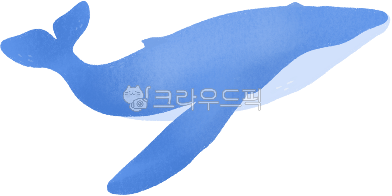 고래,바다생물,포유류,파란고래,푸른고래,바다동물,바다속동물,바다속생물,흰수염고래
