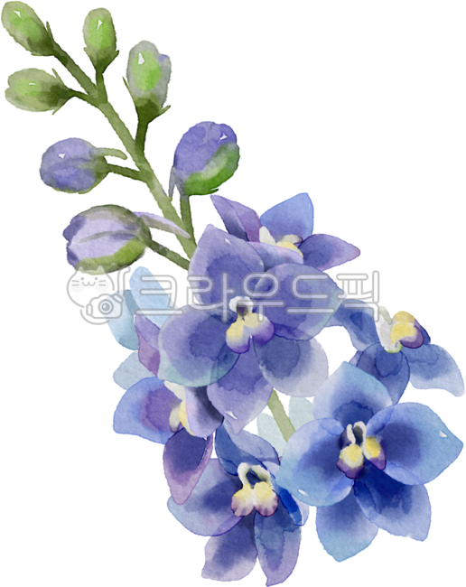 birthday,Decorating a diary,delphinium,Tattoo,flower design,nature,flower painting,birth flower,arbor day,tattoo design,floral design,flower,In July,Dakku,watercolor,larkspur,painting,flower illustration,plant illustration,plant,Watercolor