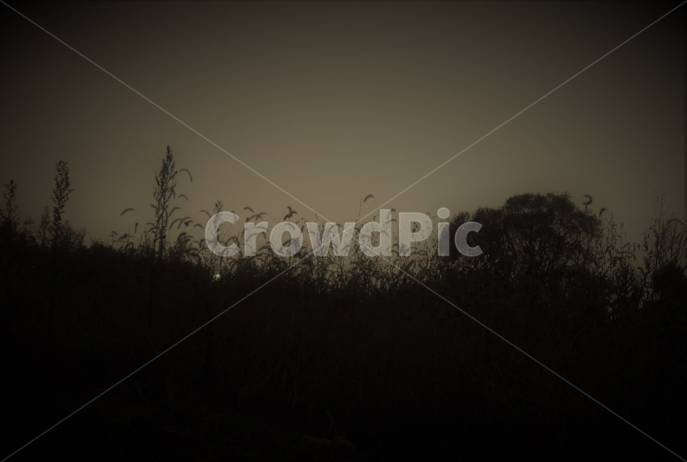 nature,자연,outdoors,야경,밤,옥외