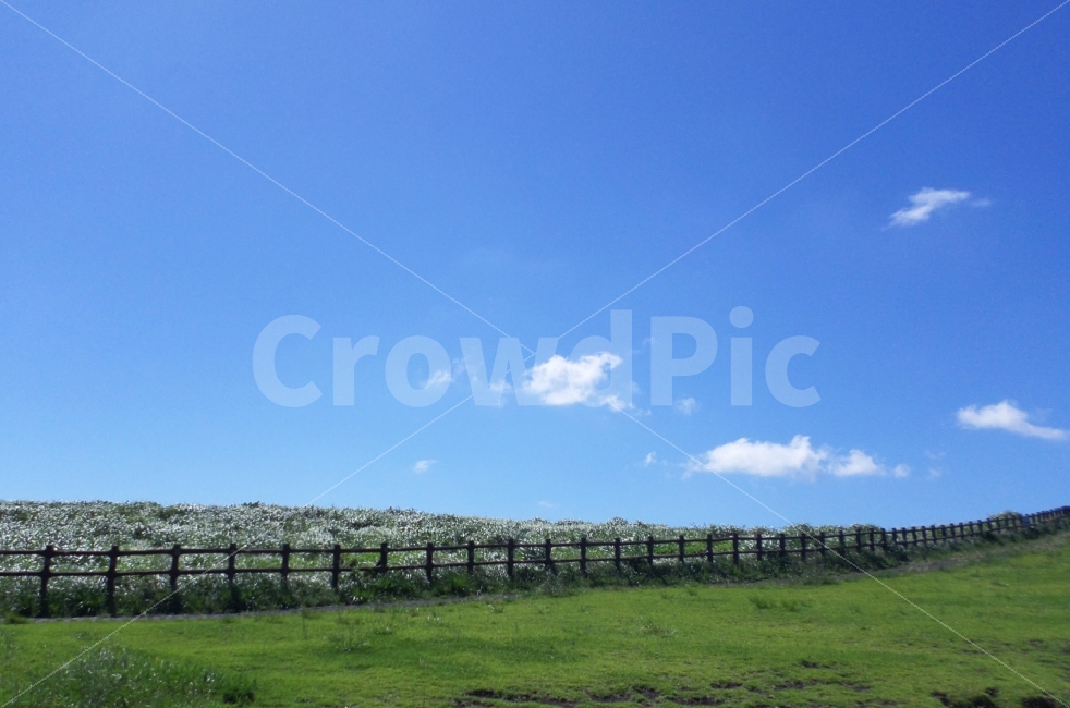 제주도,우도,우도봉,휴가,여름,힐링,산,자연,자연,풍경,nature,landscape,outdoors,옥외,farm,농장,rural,농촌