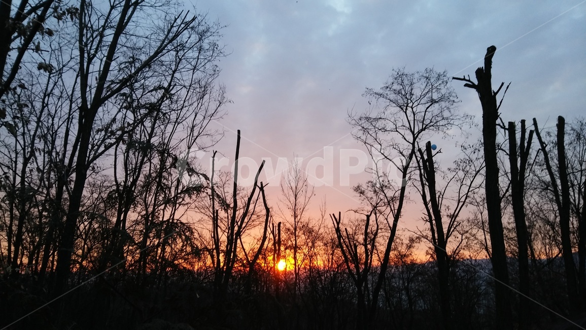 nature,자연,sky,하늘,sunset,일몰,새벽,새해일몰,새해,해돋이,자연,풍경,nature,landscape