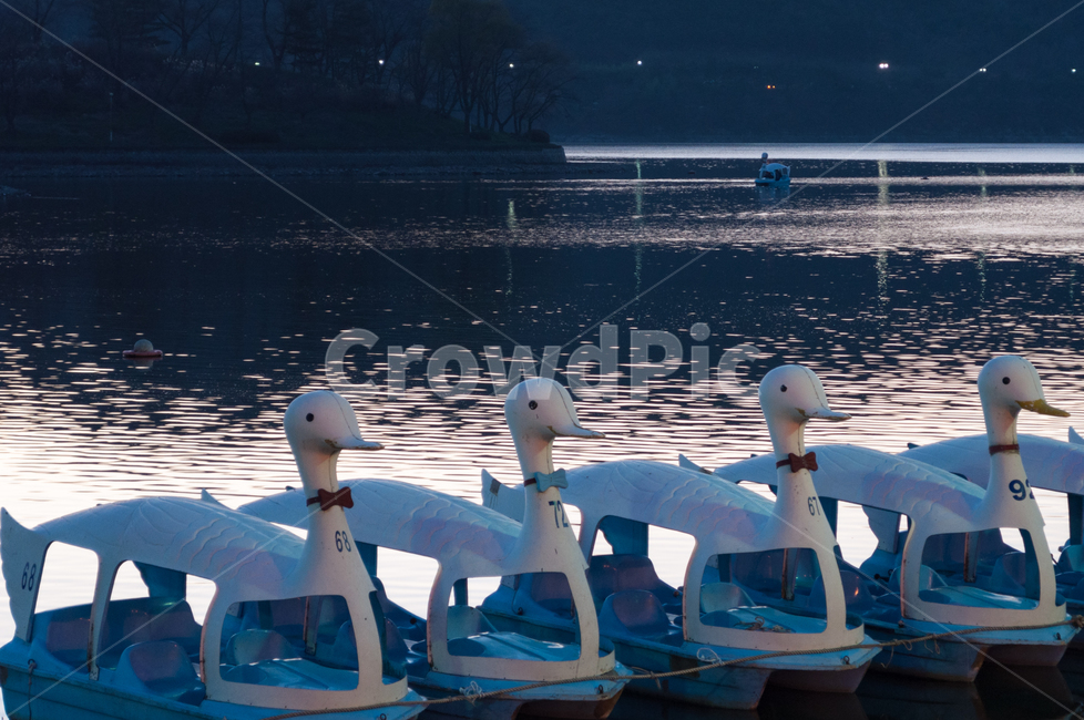 오리배,보문단지호수,호수,겨울경주,겨울호수,보문호,경주,저녁,노을,반영,반사