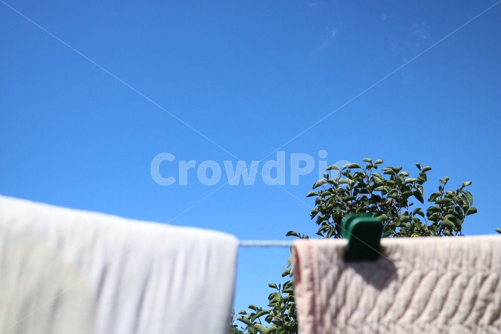 하늘,파랑,빨래,이불,빨랫줄,집게,나무,식물,초록,흰색,베이지,sky,sora,blue,ao,laundry,sentakumono,blanket,huton,tree,ki,plants,shokubutsu,green,midori,white,shiro,begie,beejyu