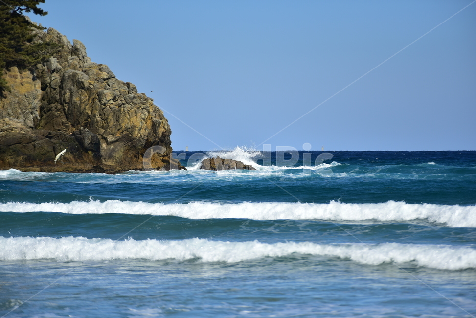 바다,바닷가,파도,바위,거품,풍경,해변,beach,sea,nature,자연,하얀
