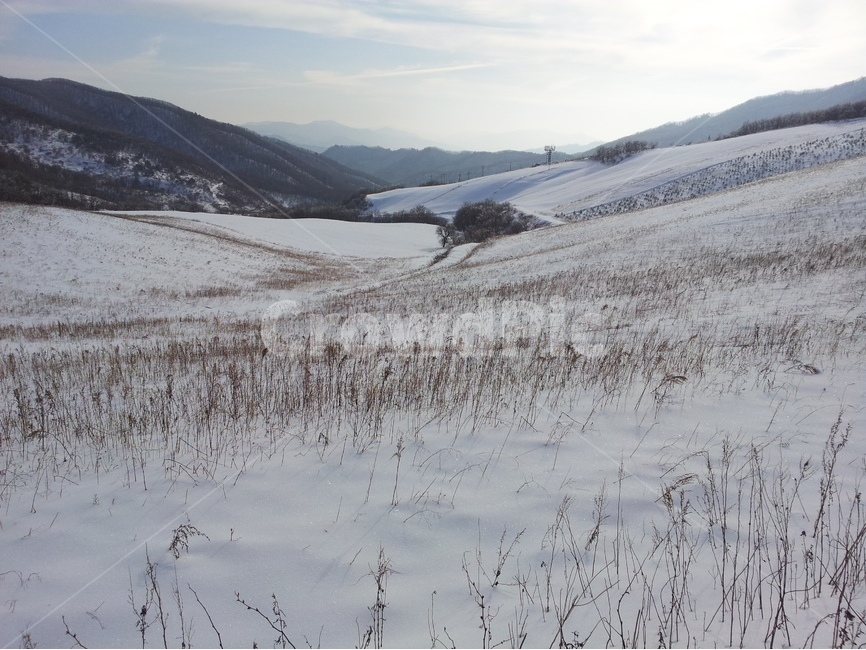 오대산,설경,눈,겨울,상고대,국립공원,자연,겨울,계절,winter,season,자연,풍경,nature,landscape,한국자연풍경,한국자연경관,korea nature landscape,outdoors,옥외
