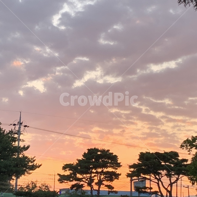 노을,나무,하늘,구름,sunset