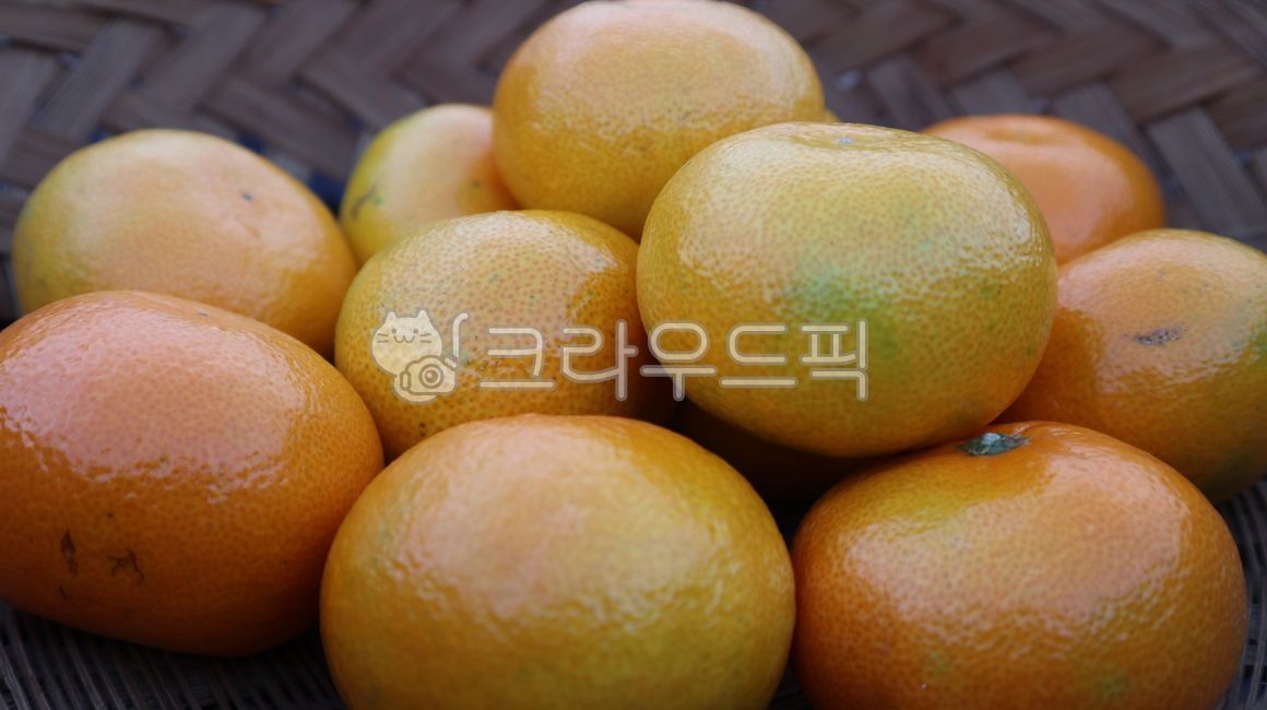 citrusfruit, 감귤류과일, food, 음식, fruit, 사진,이미지,일러스트,캘리그라피 - kim hyung작가