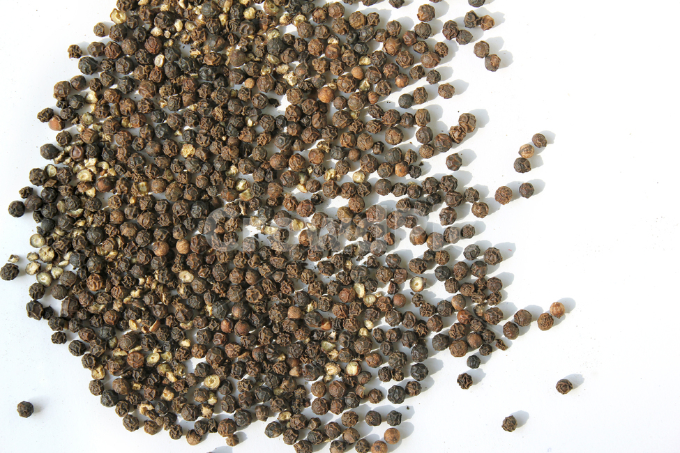 black,brown,cooking,dry,food,glass,gourmet,pepper,peppercorn,seeds,spice,spicy,white,검은색,검정,갈색,브라운,요리,음식재료,음식,후추,후추가루,향신료,매운,식재료,탑앵글,탑뷰,음식,식재료,요리,food,cook,meal,dishes,food reserves,콩류,견과류,beans,pulse,nuts,dry fruits,누끼,remove background