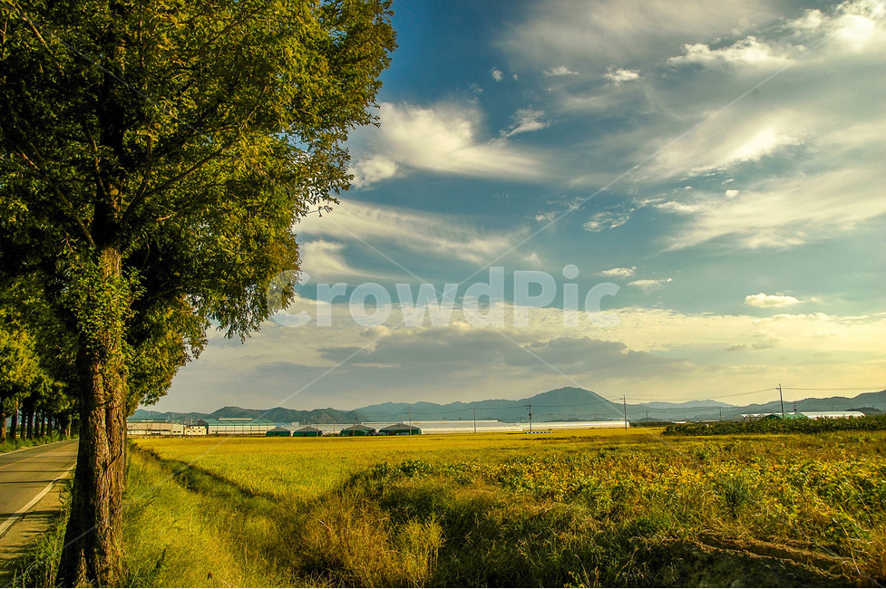 자연,풍경,노을,가을,일몰,자연,풍경,nature,landscape,한국자연풍경,한국자연경관,korea nature landscape,시골,마을,country,rural,town,grassland,목초지,outdoors,옥외,field,들