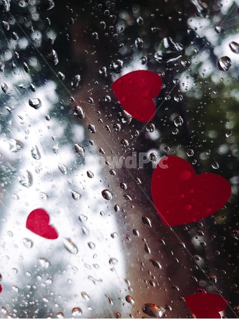 우산,비오는날,빗방울,rainy,rainyday,umbrella,raimdrop