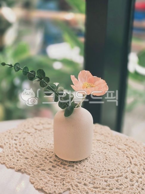 Flower pot,flower,interior,sentimental prop,eucalyptus