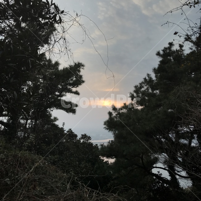 nature,자연,햇빛,sunlight,일몰,풍경