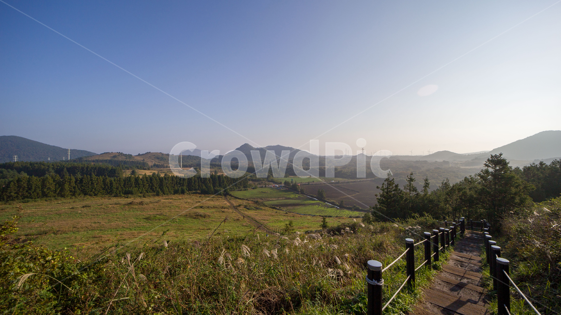 자연,풍경,제주도,오름,백약이오름,아침,제주도오름,nature,능선,가을,계단,오솔길,들판,억새,경관,풍경사진,오름사진