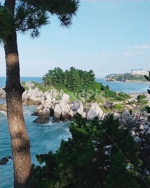 바위,하늘,바다,자연,파랑색,바닷가,피서,여름,여름바다,구름,파도,sky,sea,바위섬,나무,tree,초록