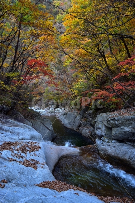 설악산,가을,풍경,단풍,탐방,국립공원,파란하늘,가을색,오색,울긋불긋,알록달록,그림같은,칼라풀,뷰티플,아름다운,힐링,감성,자연,정취,산세,명산,100대명산,nature,산,등산,트레킹,비경,경치,사진,색채,가을의정취,가을,계절,fall,autumn,season,자연,풍경,nature,landscape,한국자연풍경,한국자연경관,korea nature landscape,plant,식물,tree,나무,outdoors,옥외,water,물