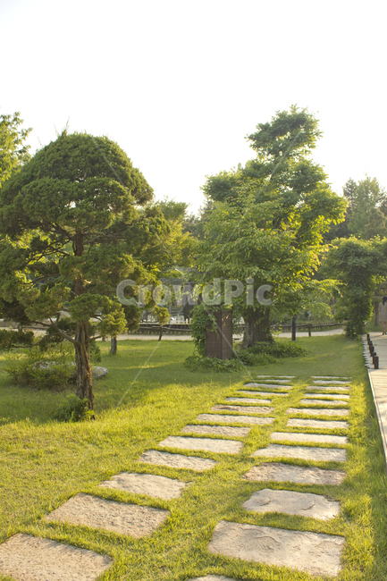 풀,들,삼림,경치,들판,풍경,남이섬,나미나라,남이아일랜드,춘천,한국,대한민국,잔디,잔디밭,소나무,나무,정원,숲,돌길,길,산책로,산책길,풀밭,자연,실외,야외,여름,낮,공원,자연,풍경,nature,landscape,path,통로,flagstone,판석,grass,plant,식물,outdoors,옥외