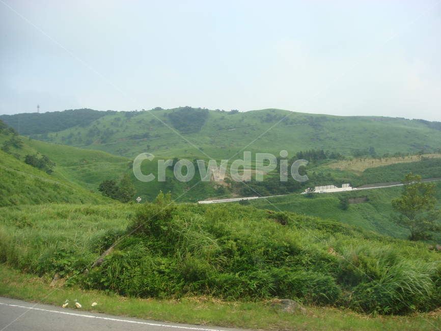 산,일본,후쿠오카,푸른,숲