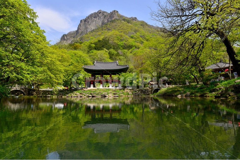lake,호수,building,건물,architecture,건축물,stream,흐름,장성,백양사,신록,연두색,봄,계절,nature,백암산,쌍계루,반영,자연,water,물,outdoors,옥외,자연,풍경,nature,landscape,한국자연풍경,한국자연경관,korea nature landscape