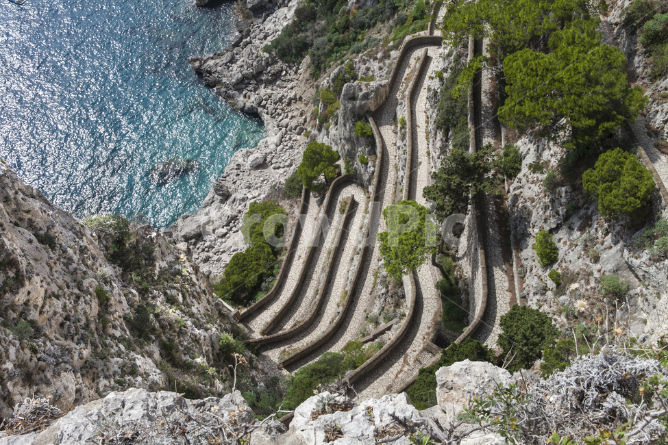 Capri,IsoladiCapri,Napoli,Europe,Italy,유럽,이탈리아,나폴리,카프리섬,해안가,자연,풍경,nature,landscape,해외,외국,세계,foreign,oversea,world,세계자연풍경,해외자연풍경,외국자연풍경,world nature landscape,outdoors,옥외