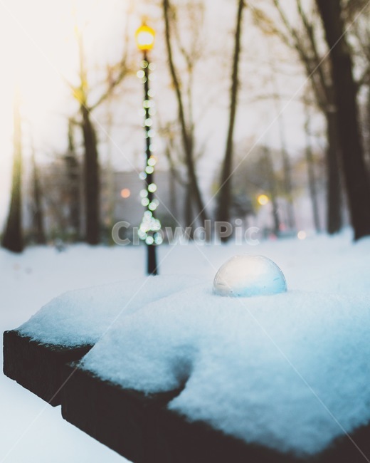 함박눈,공원,렌즈볼,겨울,스노우,겨울,계절,winter,season