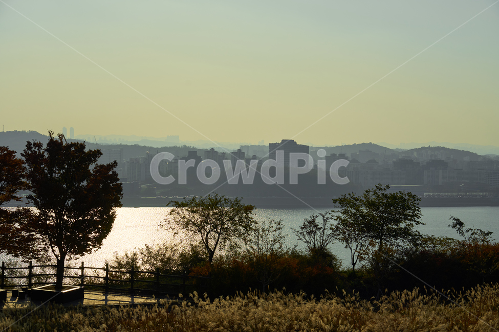 하늘공원,억새,노을,저녁,하늘,일몰,한강,빛,빛반사,도시,서울,산,자연,풍경,nature,landscape