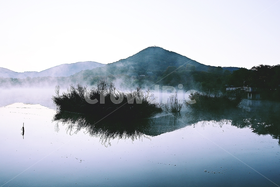 호수,인천대공원,물안개,새벽,아침,풍경,자연,식물,물,자연,풍경,nature,landscape,한국자연풍경,한국자연경관,korea nature landscape