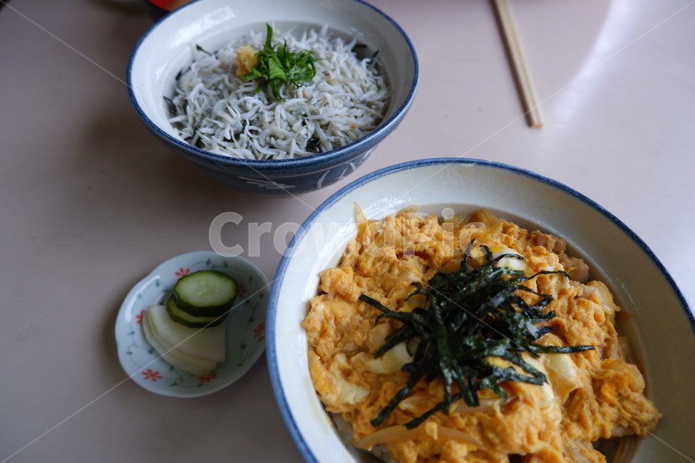 일본,식당,일본식당,일식,오야꼬동,일본요리,시라스동,음식,식재료,요리,food,cook,meal,dishes,food reserves,일식,일본음식,일본요리,Japanese food,Japanese dishes,Japanese meal,Japanese cook