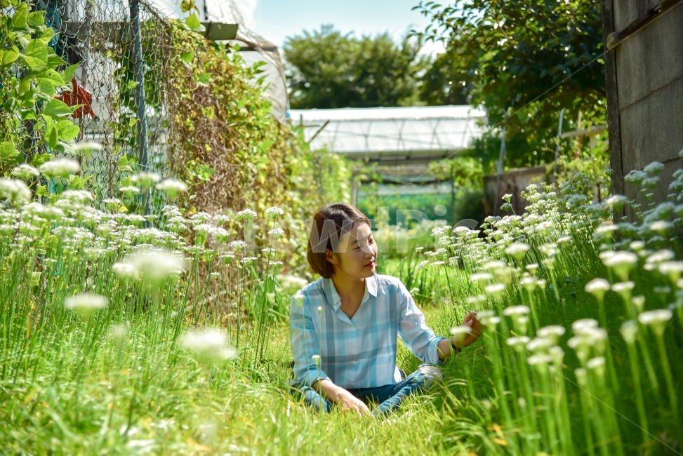 인물사진,모델,꽃,가을꽃,꽃밭,셔츠,단발머리,잔디밭,식물,자연,plants,nature,꽃,flower,사람,인물,인간,human,person,얼굴표정,facial expression,face,여성,여자,woman,female,lady