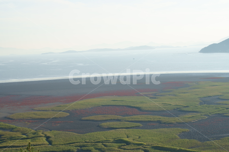 순천만,순천만습지,습지,자연,nature,koreanature,landmark,wetland,korea