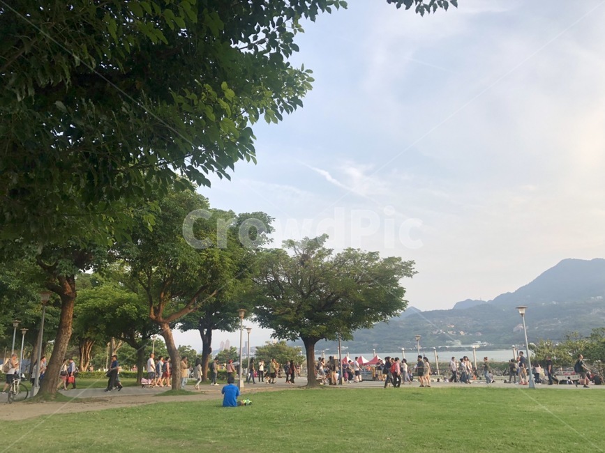 grass,잔디,plant,식물,사람,공원,park,outdoors,lawn,나무,trees,wood