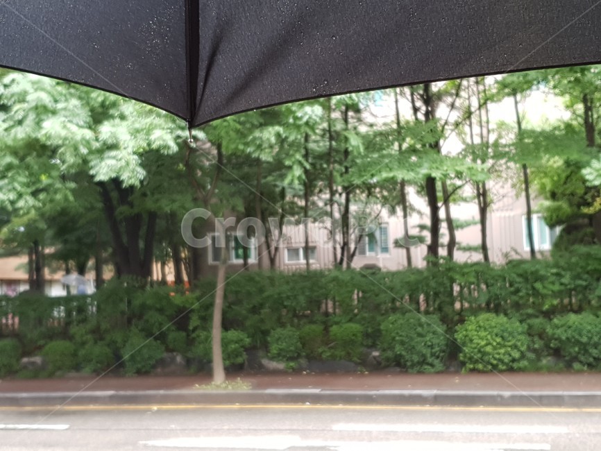rain,umbrella,black umbrella,Rainy Day,rainy scenery,raindrop