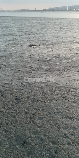 하늘,저녁,해질녁,노을,석양,sea,nature,water,바다,물,자연,바닷물,파도,바다풍경,풍경,바닷가,썰물,밀물,갯벌,뻘