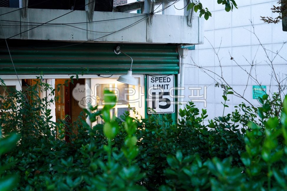 signboard,green,grass,street,trafficsign,plant,sign,sign board,traffic sign