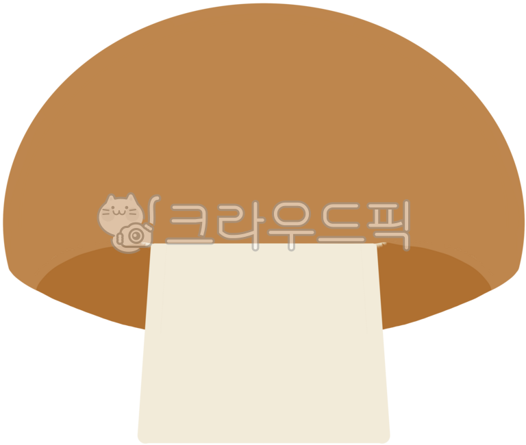 양송이,양송이버섯,버섯,양송이이미지,양송이그림,양송이일러,양송이일러스트,양송이손그림,양송이단면,버섯스프,버섯구이,양송이스프,양송이구이,가을버섯,버섯도안,버섯이미지,버섯그림,버섯일러,버섯일러스트,버섯손그림