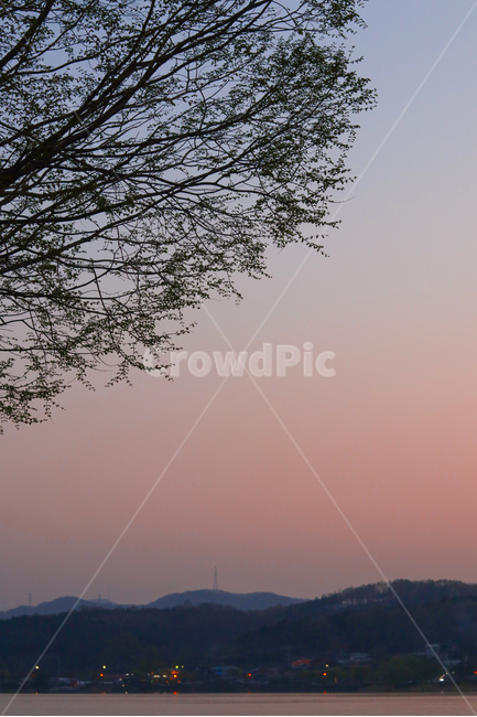 나무,노을,해질녘,공원,야경,sunset,자연,풍경,nature,landscape,한국자연풍경,한국자연경관,korea nature landscape,outdoors,옥외
