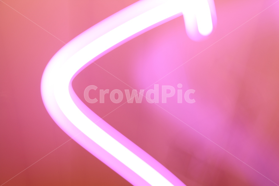 필름,네온,네온사인,neon,light,조명,빛,필름사진,핑크,분홍색,몽환,art,purple,보라색,미술,graphics