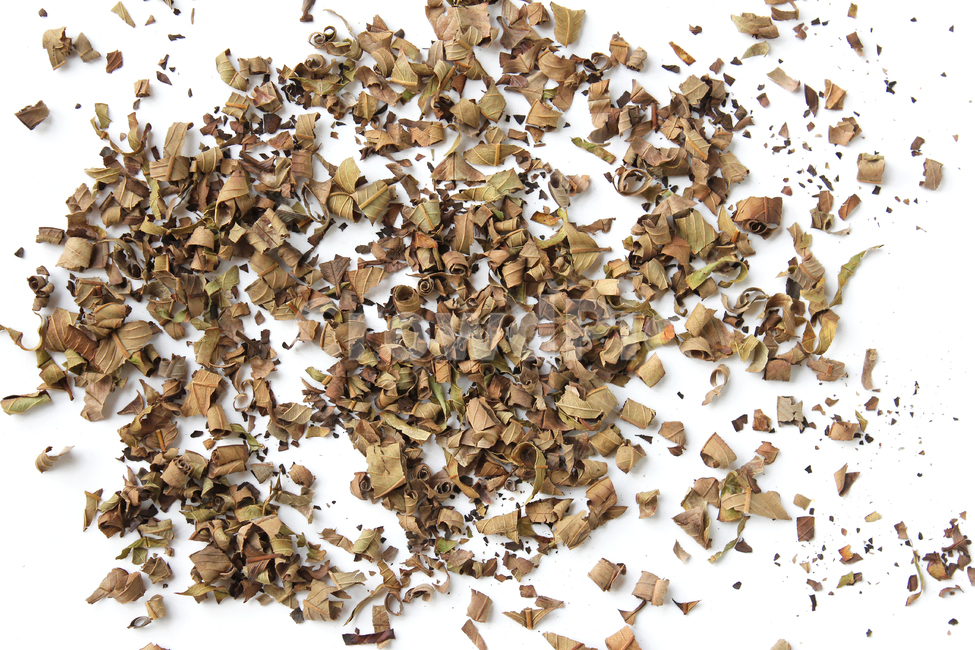natural,nature,organic,food,healthy,plant,brown,driedleaf,dry,dryleaf,guava,guavatea,leaf,tea,white,자연,음식,식배료,차,차잎,건강,식물,브라운,갈색,말린잎,말린,건조,건조시킨,구아바,구아바잎,잎,나뭇잎,가루,흰배경,구아바차,음식,식재료,요리,food,cook,meal,dishes,food reserves